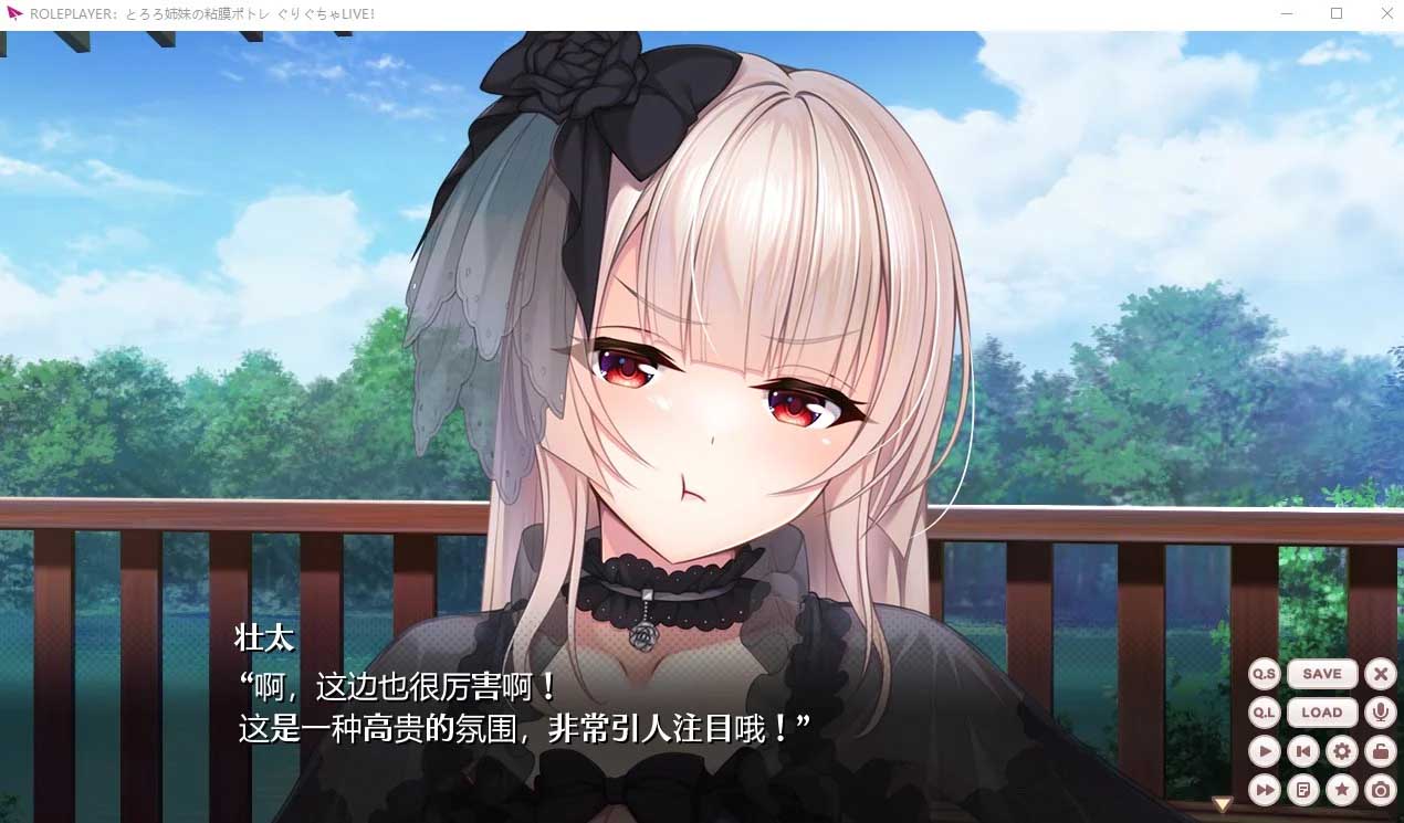 【大作ADV/AI汉化/全动态】小粥姐妹3 Role player:小粥姉妹の粘膜 全CG【6.5G/新作/全CV】